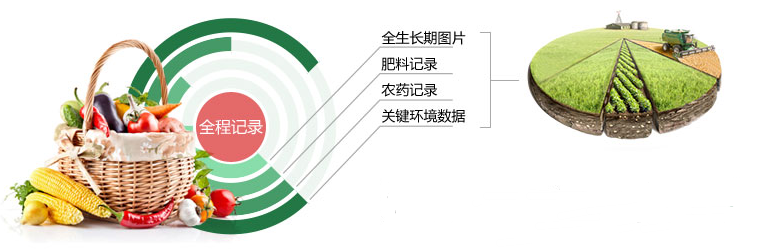 利箭防伪溯源